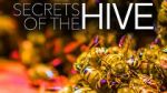 Watch Secrets of the Hive 123movieshub