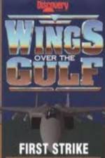 Watch Wings Over the Gulf Vol  1  First Strike 123movieshub
