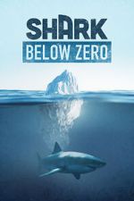 Watch Shark Below Zero 123movieshub
