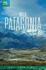 Watch Wild Patagonia 123movieshub