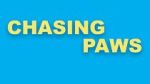 Watch Chasing Paws (Short 2020) 123movieshub