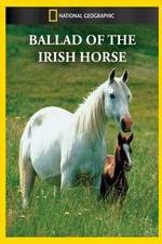 Watch Ballad of the Irish Horse 123movieshub