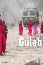Watch Gulabi Gang 123movieshub