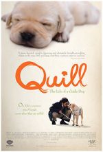 Watch Quill: The Life of a Guide Dog 123movieshub