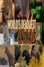 Watch National Geographic - Worlds Deadliest Animal Battles 123movieshub