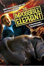 Watch The Incredible Elephant 123movieshub