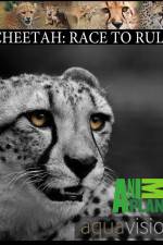 Watch Cheetah: Race to Rule 123movieshub