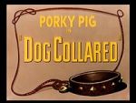 Watch Dog Collared (Short 1950) 123movieshub