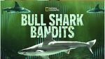 Watch Bull Shark Bandits 123movieshub