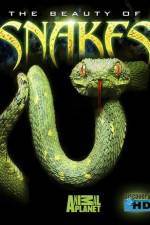 Watch The Beauty of Snakes 123movieshub