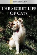 Watch The Secret Life of Cats 123movieshub