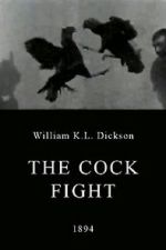 Watch The Cock Fight 123movieshub