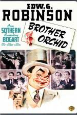 Watch Brother Orchid 123movieshub