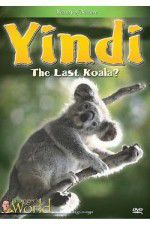 Watch Yindi the Last Koala 123movieshub