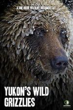 Watch Yukon\'s Wild Grizzlies 123movieshub