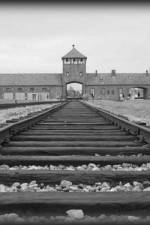 Watch AUSCHWITZ: ORDERS AND INITIATIVES 123movieshub