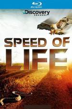Watch Speed of Life 123movieshub