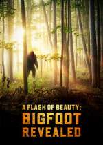 Watch A Flash of Beauty: Bigfoot Revealed 123movieshub