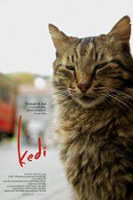 Watch Kedi 123movieshub