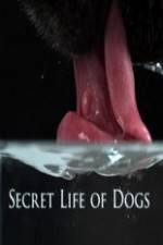 Watch Secret Life of Dog 123movieshub