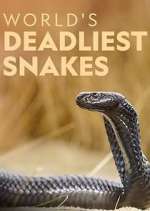 Watch World's Deadliest Snakes 123movieshub