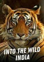 Watch Into the Wild India 123movieshub