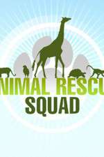 Watch Animal Rescue Squad 123movieshub