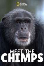 Watch Meet the Chimps 123movieshub