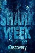 Watch Shark Week 123movieshub