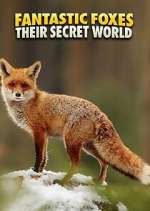 Watch Fantastic Foxes: Their Secret World 123movieshub