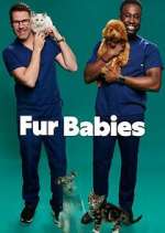 Watch Fur Babies 123movieshub