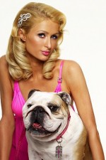 Watch Paris Hilton's British Best Friend 123movieshub