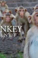 Watch Monkey Planet 123movieshub