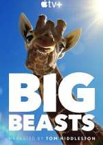 Watch Big Beasts 123movieshub