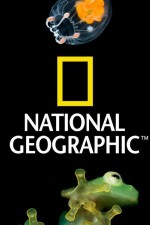 Watch Nat Geo Amazing! 123movieshub