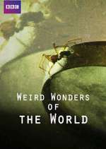 Watch Weird Wonders of the World 123movieshub