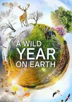 Watch A Wild Year on Earth 123movieshub