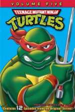 Watch Teenage Mutant Ninja Turtles 123movieshub
