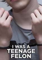 Watch I Was a Teenage Felon 123movieshub