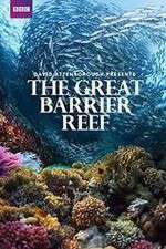 Watch Great Barrier Reef with David Attenborough 123movieshub