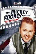 Watch The Mickey Rooney Show 123movieshub