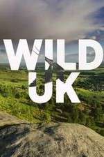 Watch Wild UK 123movieshub