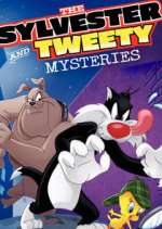 Watch The Sylvester & Tweety Mysteries 123movieshub