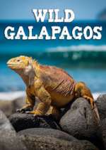 Watch Wild Galapagos 123movieshub