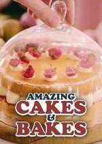 Watch Amazing Cakes & Bakes 123movieshub