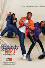 Watch Brandy and Ray J: A Family Business 123movieshub