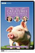 Watch All Creatures Great and Small 123movieshub