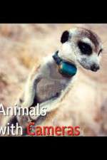 Watch Animals with Cameras 123movieshub