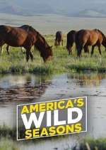 Watch America's Wild Seasons 123movieshub