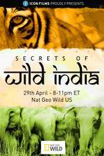 Watch Secrets of Wild India 123movieshub